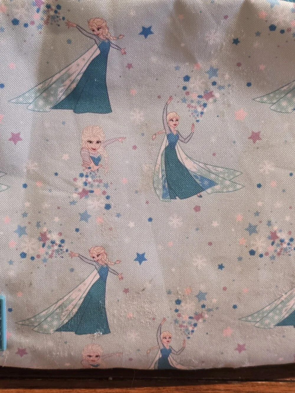 Simple Modern × Disney Frozen Character Print Backpack (14
